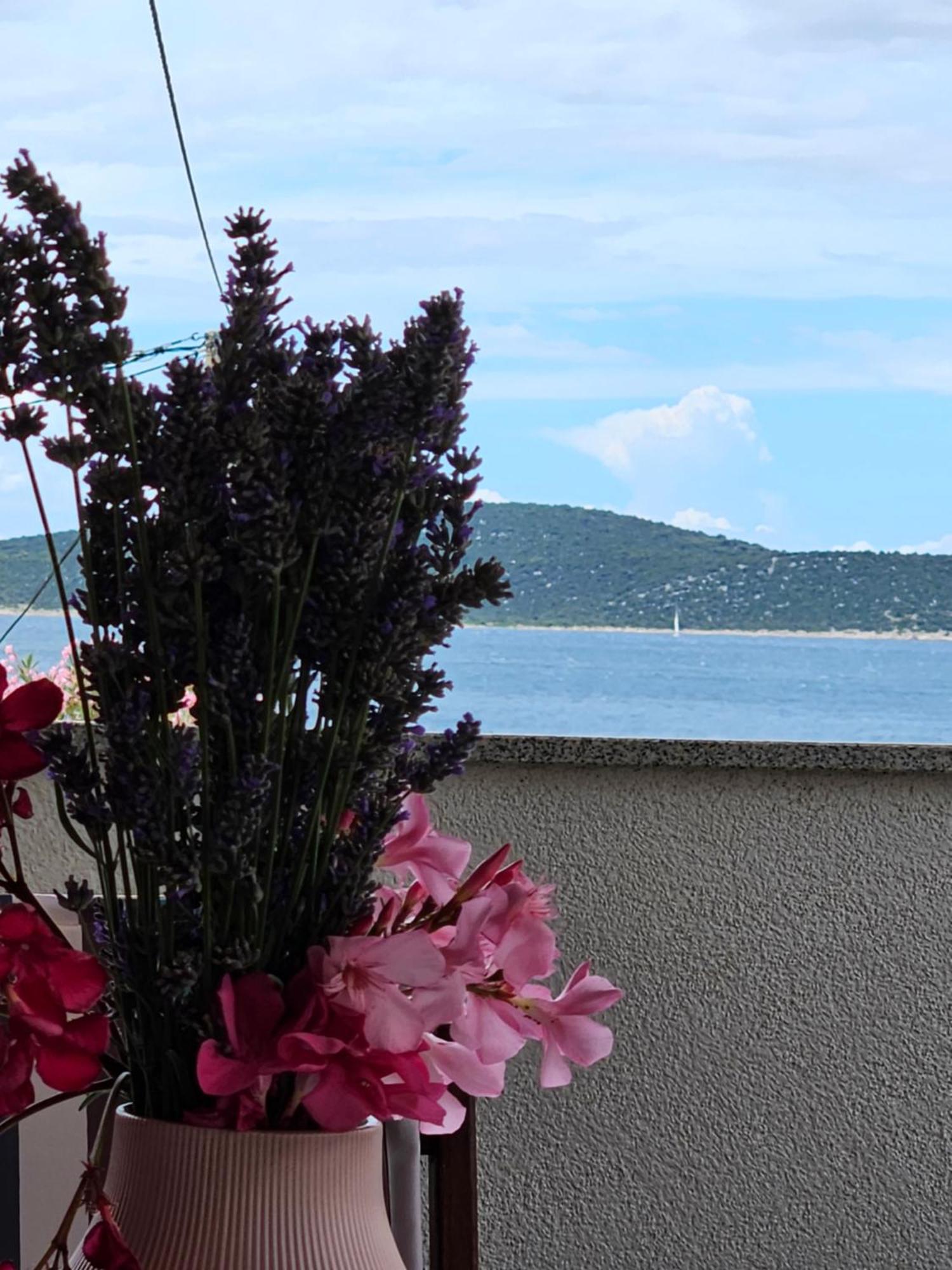 House Tereza Lejlighed Vodice Eksteriør billede